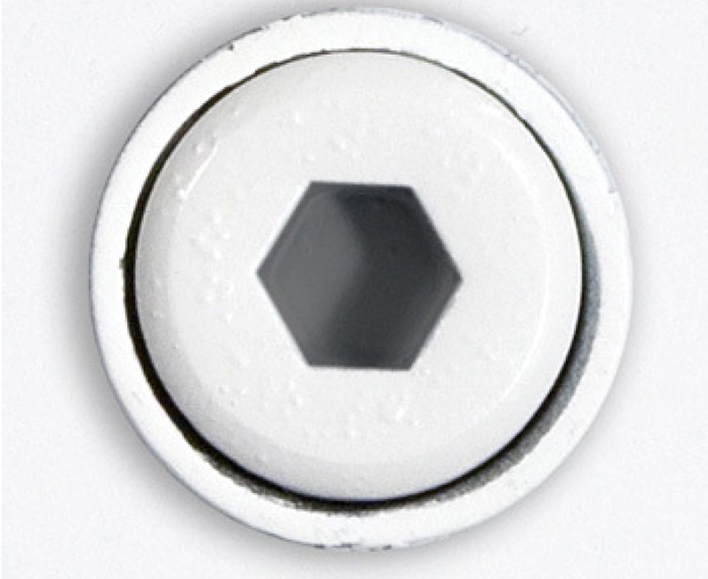 Allen Head Cam Lock.